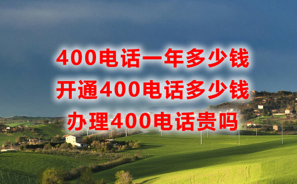申請(qǐng)400電話一年需要多少錢